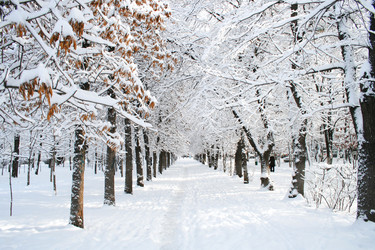 Similar image 669693