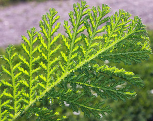 Similar image 669695