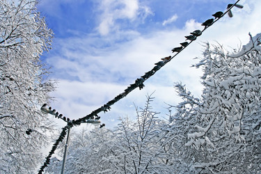 Similar image 669698