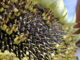 Similar image 669711