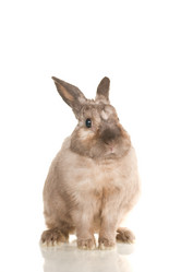 Similar image 669783