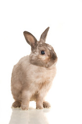 Similar image 669784