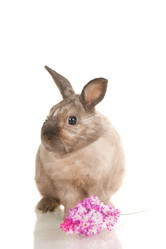 Similar image 669787