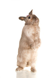 Similar image 669788