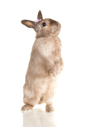 Similar image 669789