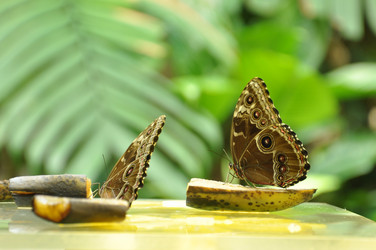 Similar image 669790