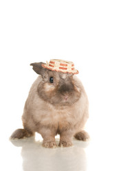 Similar image 669793