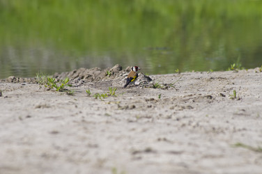 Similar image 669795