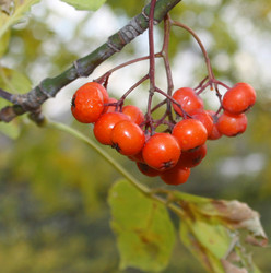 Similar image 669800