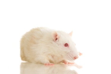 Similar image 669812