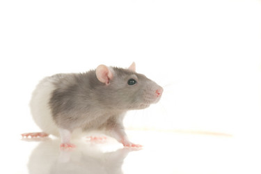 Similar image 669817