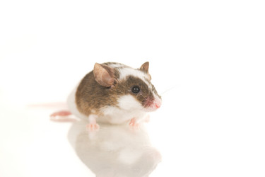 Similar image 669821