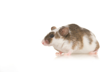 Similar image 669823