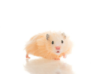 Similar image 669825