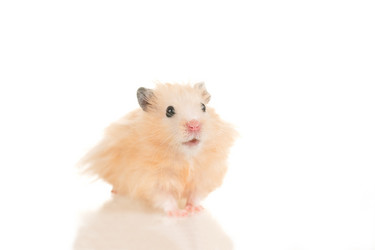 Similar image 669827