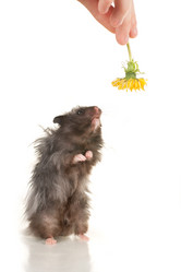 Similar image 669832