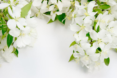 Similar image 669848