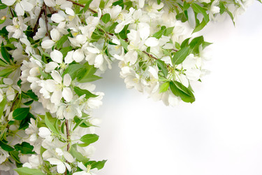 Similar image 669849