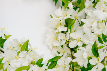 Similar image 669851