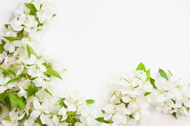 Similar image 669917