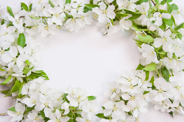 Similar image 669930