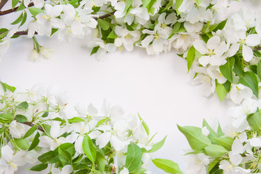 Similar image 669931