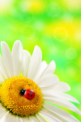 Similar image 669946