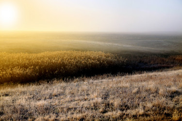 Similar image 669955