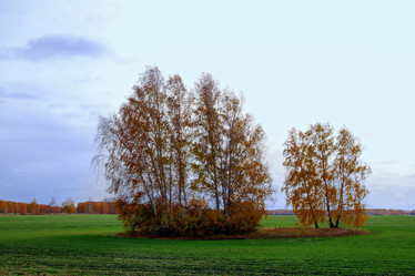 Similar image 669958