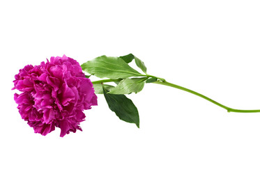 Similar image 669972