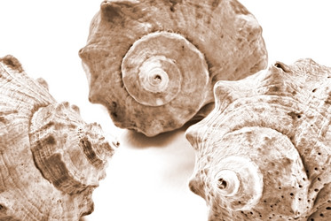 Similar image 669979