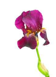 Similar image 669990