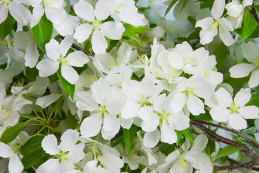 Similar image 669992