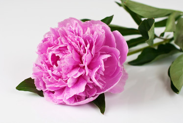 Similar image 670007