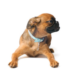 Similar image 670010