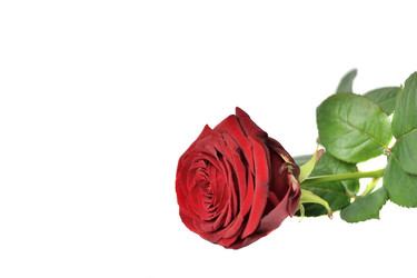 Similar image 670081