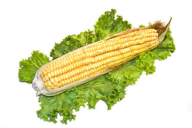 Similar image 670083