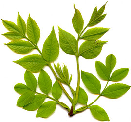 Similar image 670116