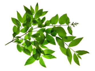 Similar image 670117