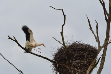 Similar image 670124