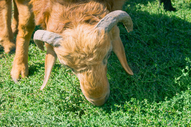 Similar image 670140