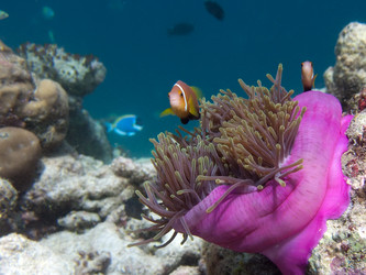 Similar image 670180