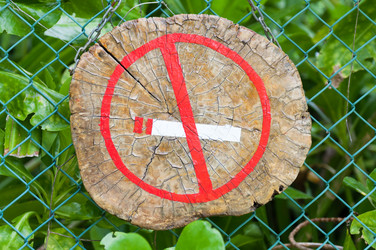 Similar image 670186