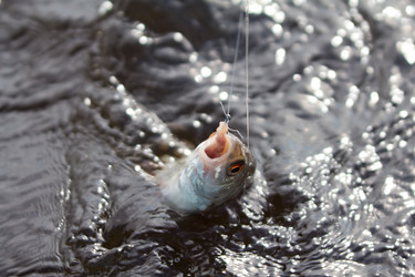 Similar image 670189