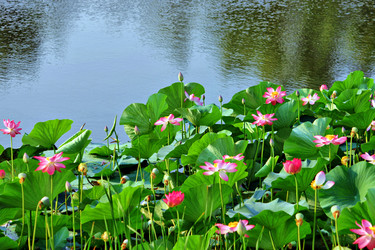 Similar image 670198