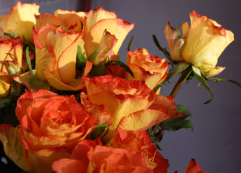 Similar image 670234