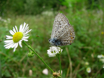 Similar image 670272