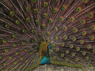 Similar image 670283