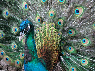 Similar image 670285