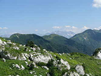 Similar image 670310